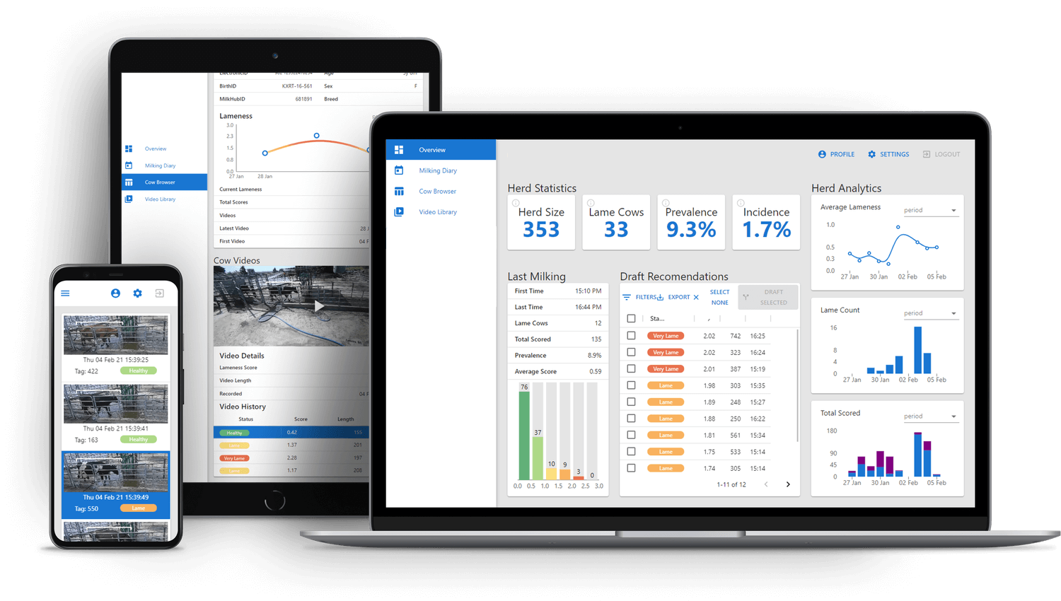 ciferia-dashboard